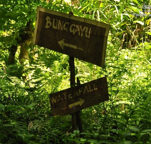 A Bidayuh Jungle Survival experience