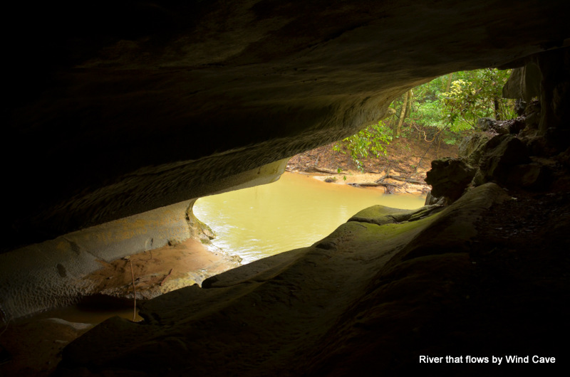 ウィンド洞窟とフェアリー洞窟自然保護区