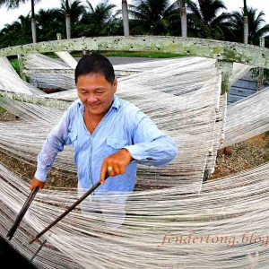 Separating the longevity noodle strands for drying