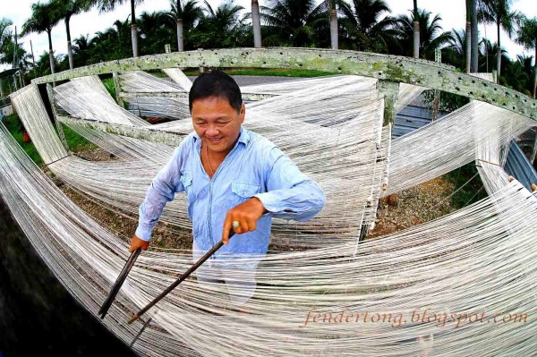 Separating the longevity noodle strands for drying
