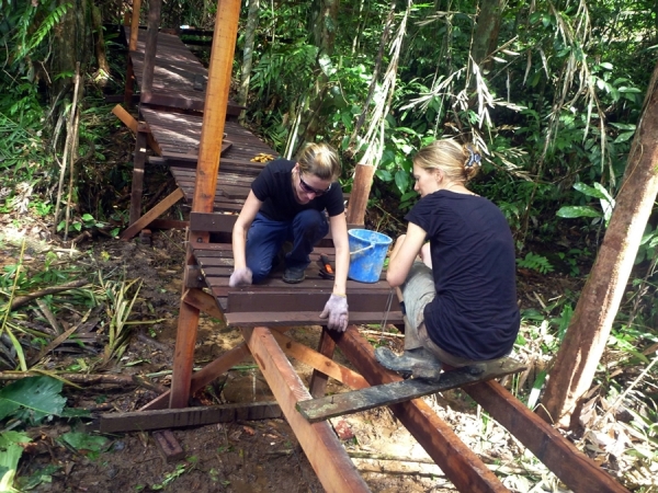 Volunteers in action Batang Ai National Park Orangutan programme