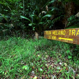 quiet beach in malaysia tanjung datu national park telok melano trail