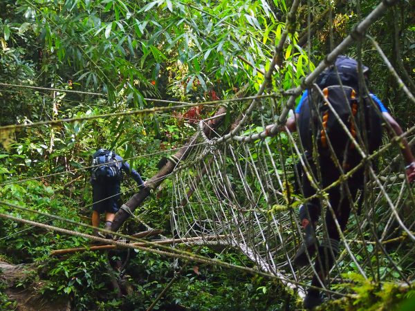 Hiking trip: Monkey bridge crossing headhunters trail mulu