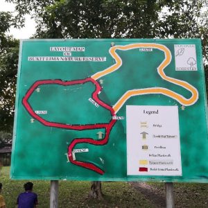 Bukit Lima Nature Reserve Trail