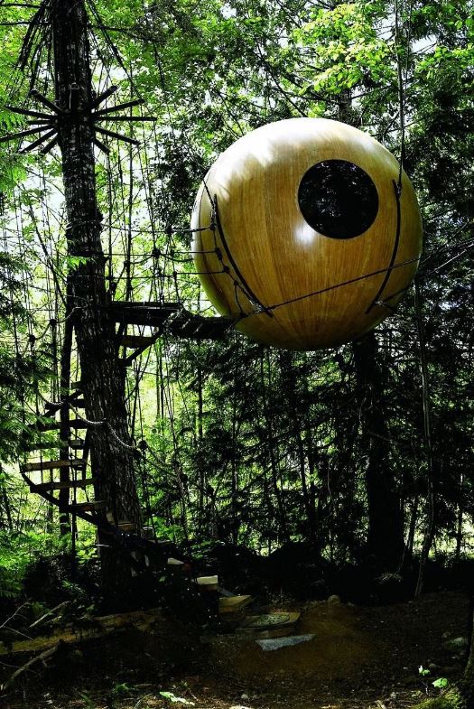 wechat tree house canada