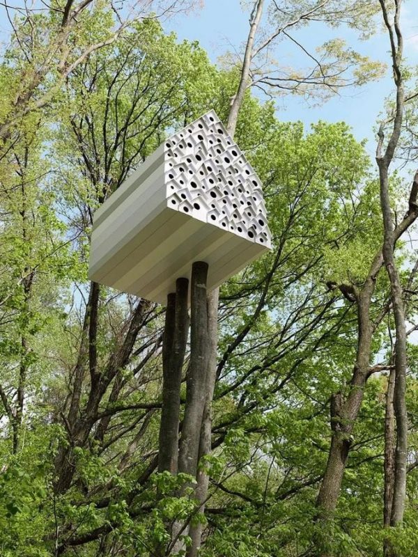 wechat tree house Japan