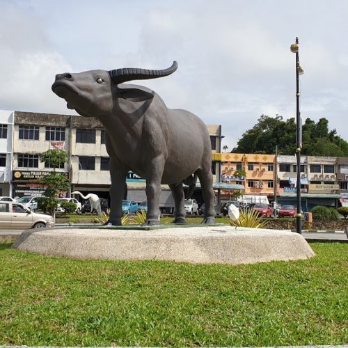 8TH EDITION OF BEDUDUN FESTIVAL AND BUFFALO RACES WILL BE BACK THIS OCTOBER